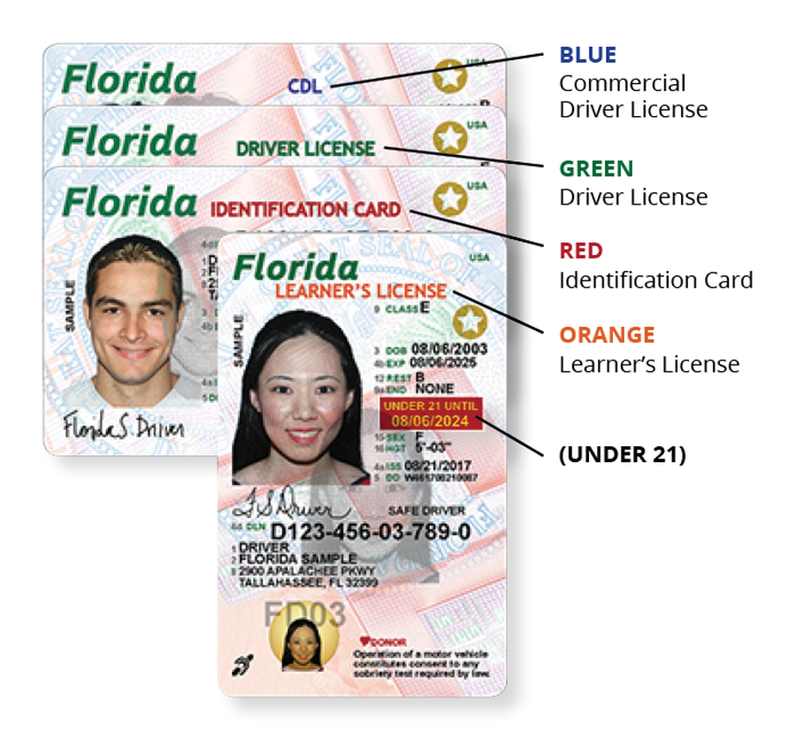 Florida drivers license check by social security number